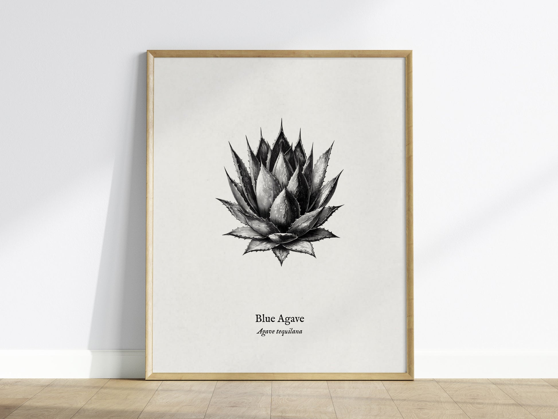 Blue Agave Poster | Vintage Agave Tequilana Botanical Illustration Wall Art — framed wall art