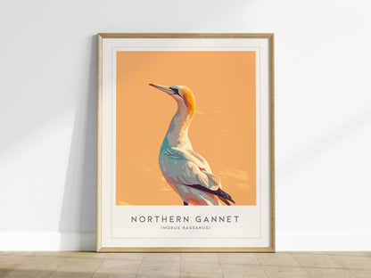 Northern Gannet, Morus bassanus Poster | Striking Seabird Wildlife Print Wall Art — framed wall art