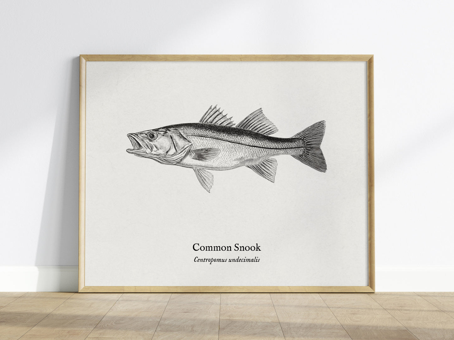 Common Snook Landscape Poster | Centropomus undecimalis Ink Illustration Zoological Wall Art — framed wall art