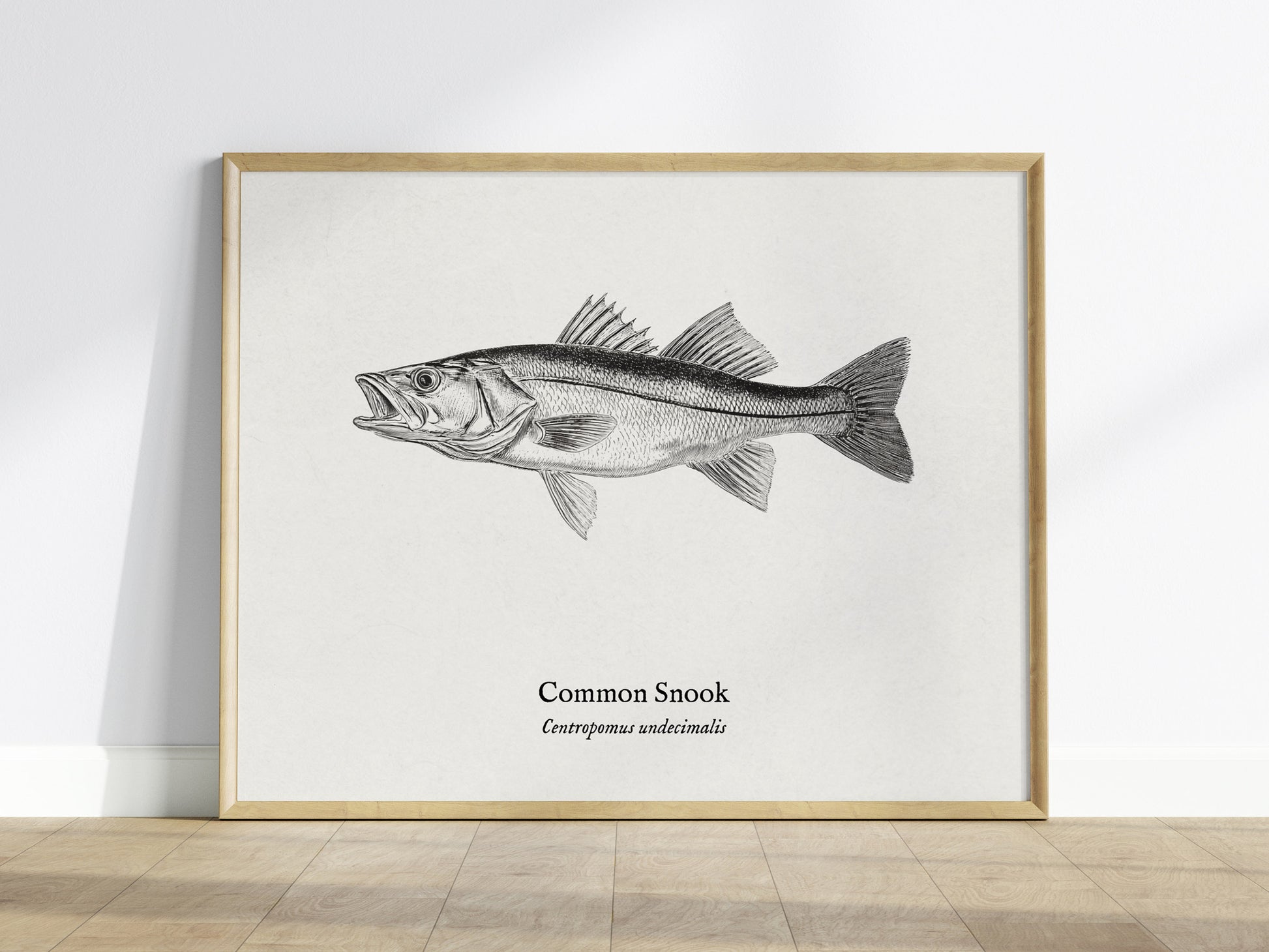 Common Snook Landscape Poster | Centropomus undecimalis Ink Illustration Zoological Wall Art — framed wall art