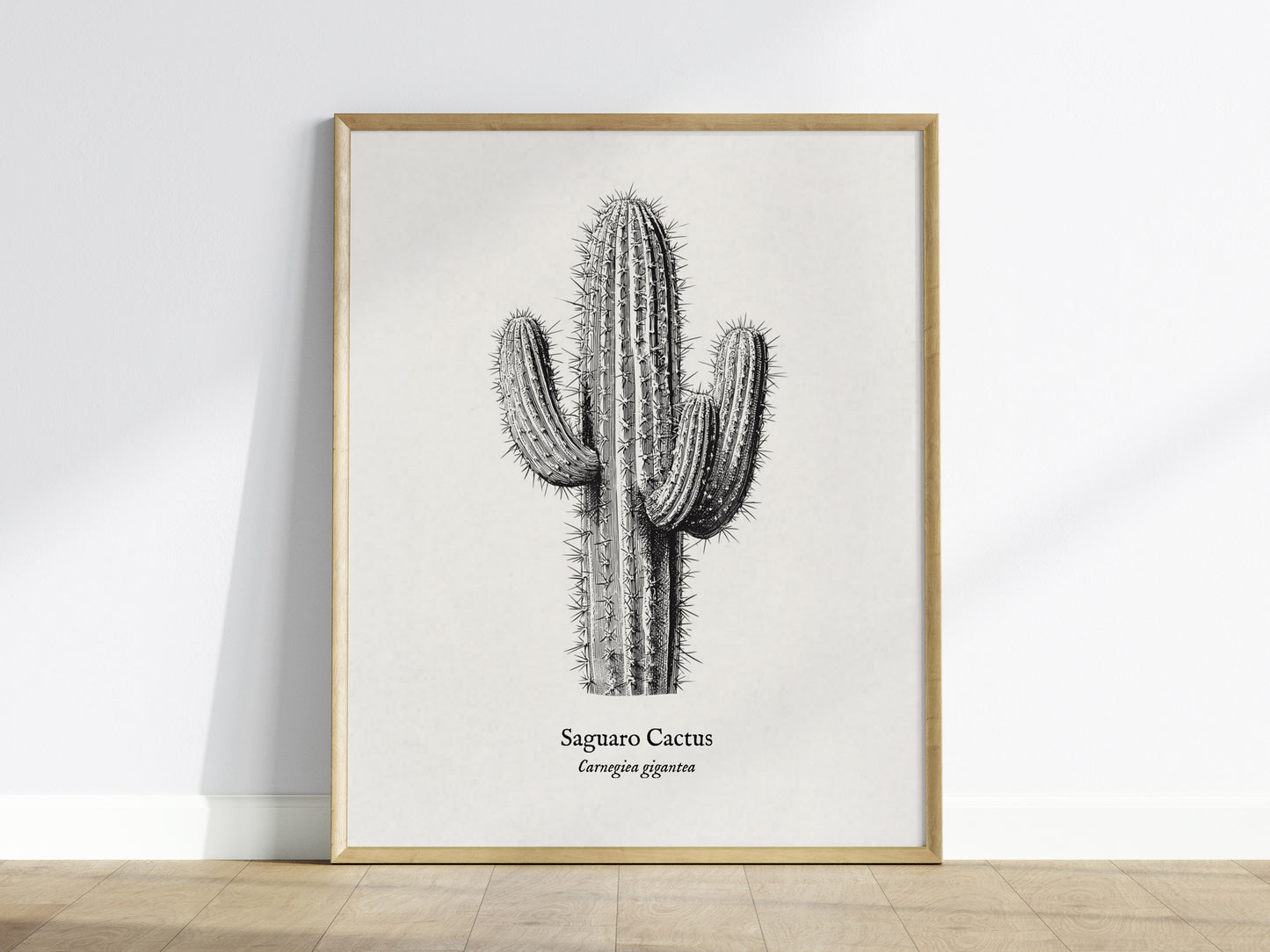 Saguaro Cactus Poster | Vintage Carnegiea gigantea Botanical Illustration Wall Art — framed wall art