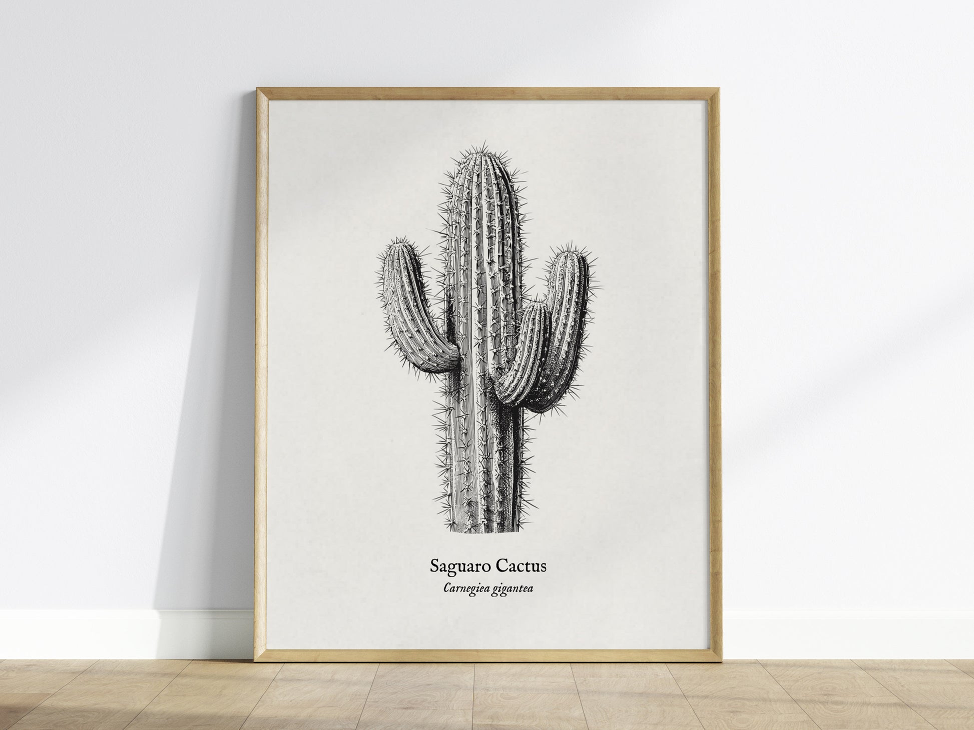 Saguaro Cactus Poster | Vintage Carnegiea gigantea Botanical Illustration Wall Art — framed wall art