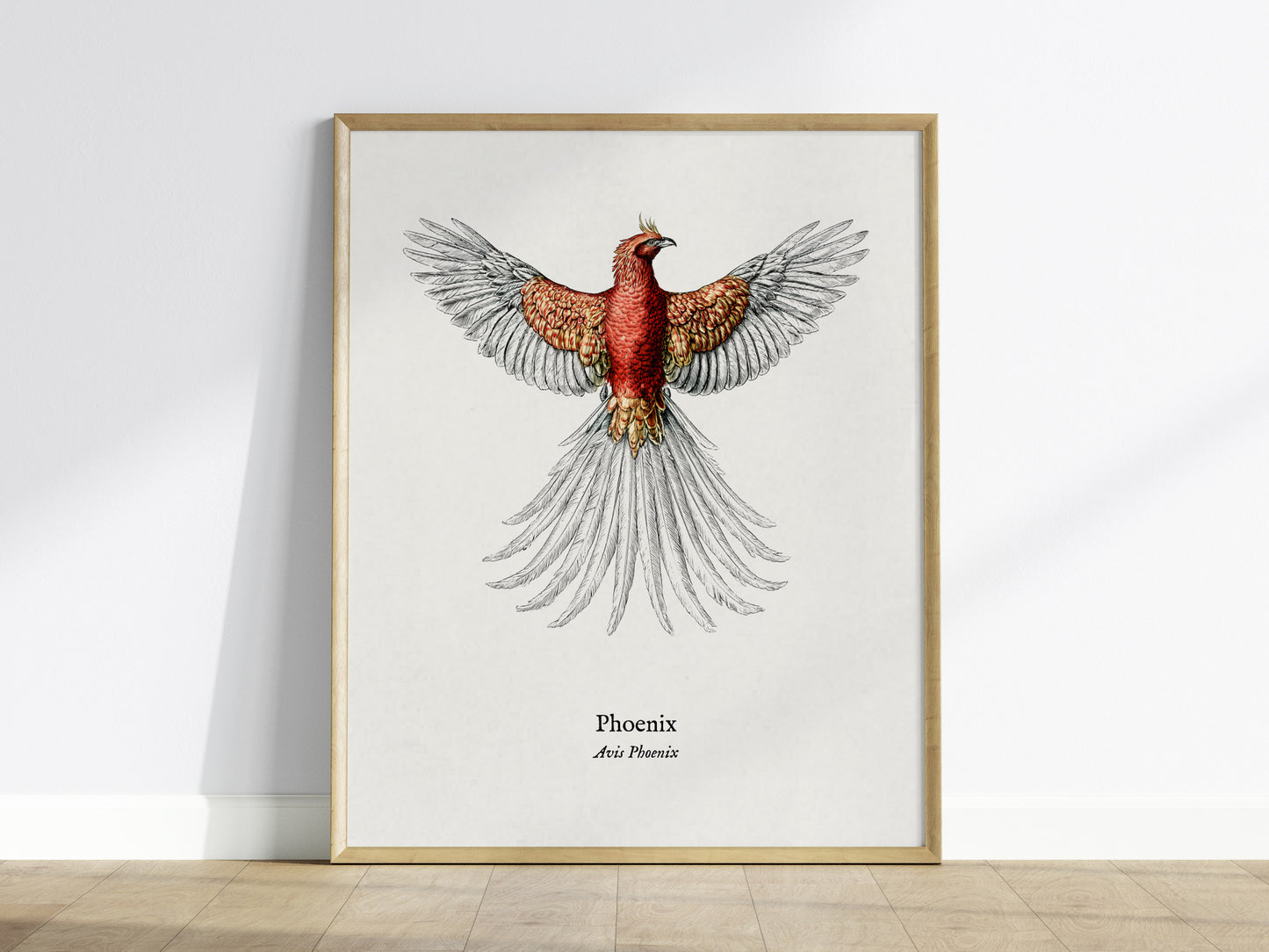 Phoenix Poster | Vintage Avis Phoenix Zoological Illustration Wall Art — framed wall art