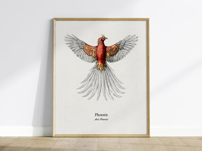 Phoenix Poster | Vintage Avis Phoenix Zoological Illustration Wall Art — framed wall art
