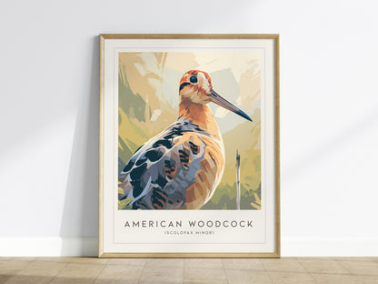 American Woodcock Poster | Woodland Shorebird Nature Illustration Wall Art — framed wall art