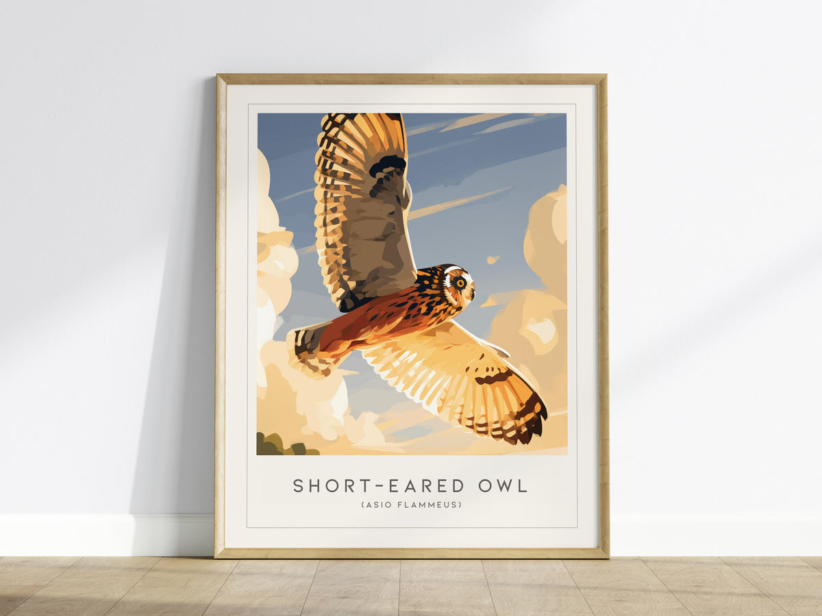 Short-eared Owl, Asio flammeus Poster | Raptor Wildlife Print Nature Wall Art — framed wall art