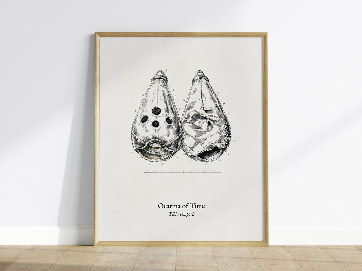 Ocarina of Time Poster | Tibia temporis Vintage Pen and Ink Print Scientific Illustration Wall Art — framed wall art