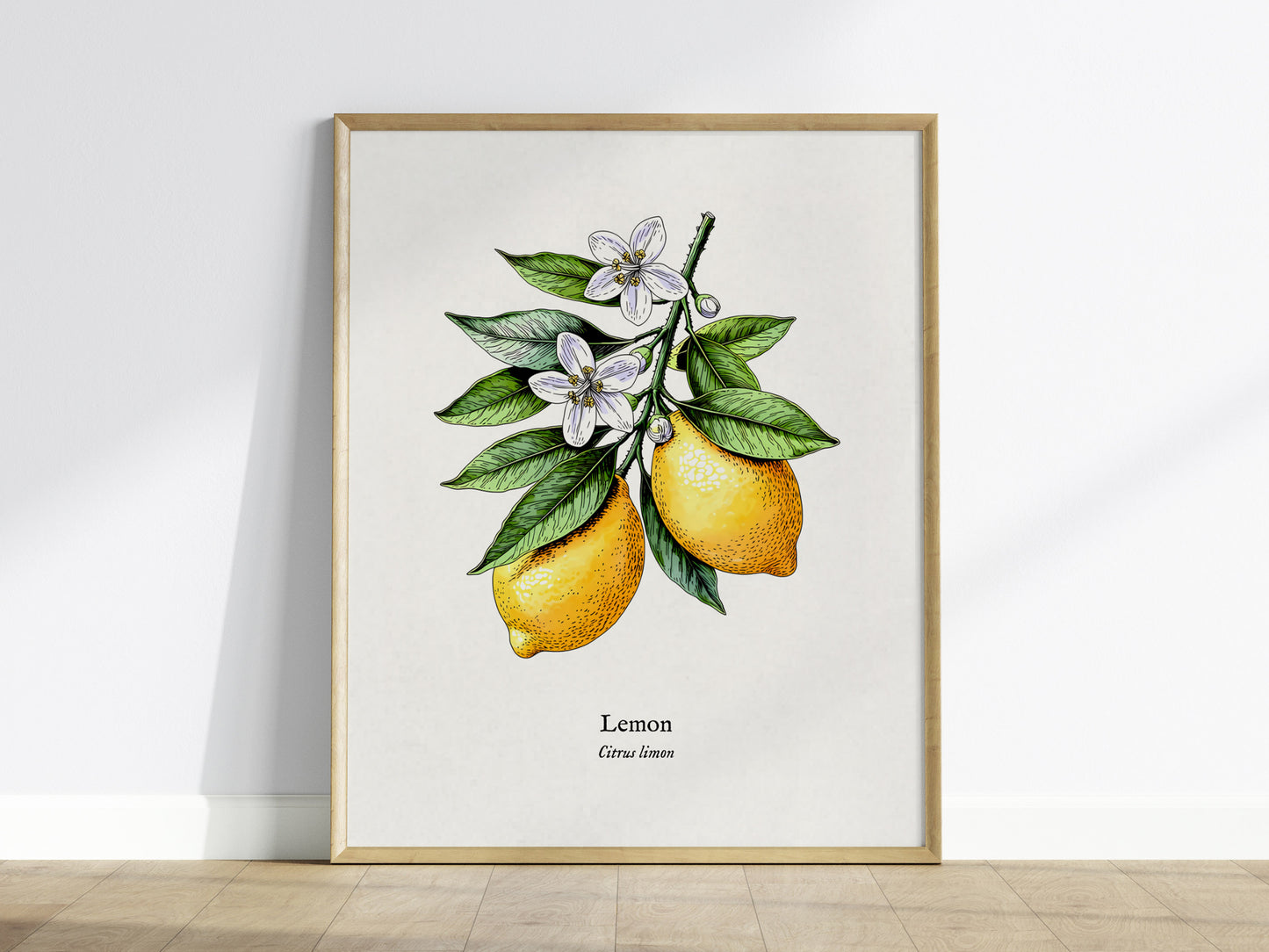 Botanical Lemon Poster | Citrus x Limon Framed Wall Art — framed wall art