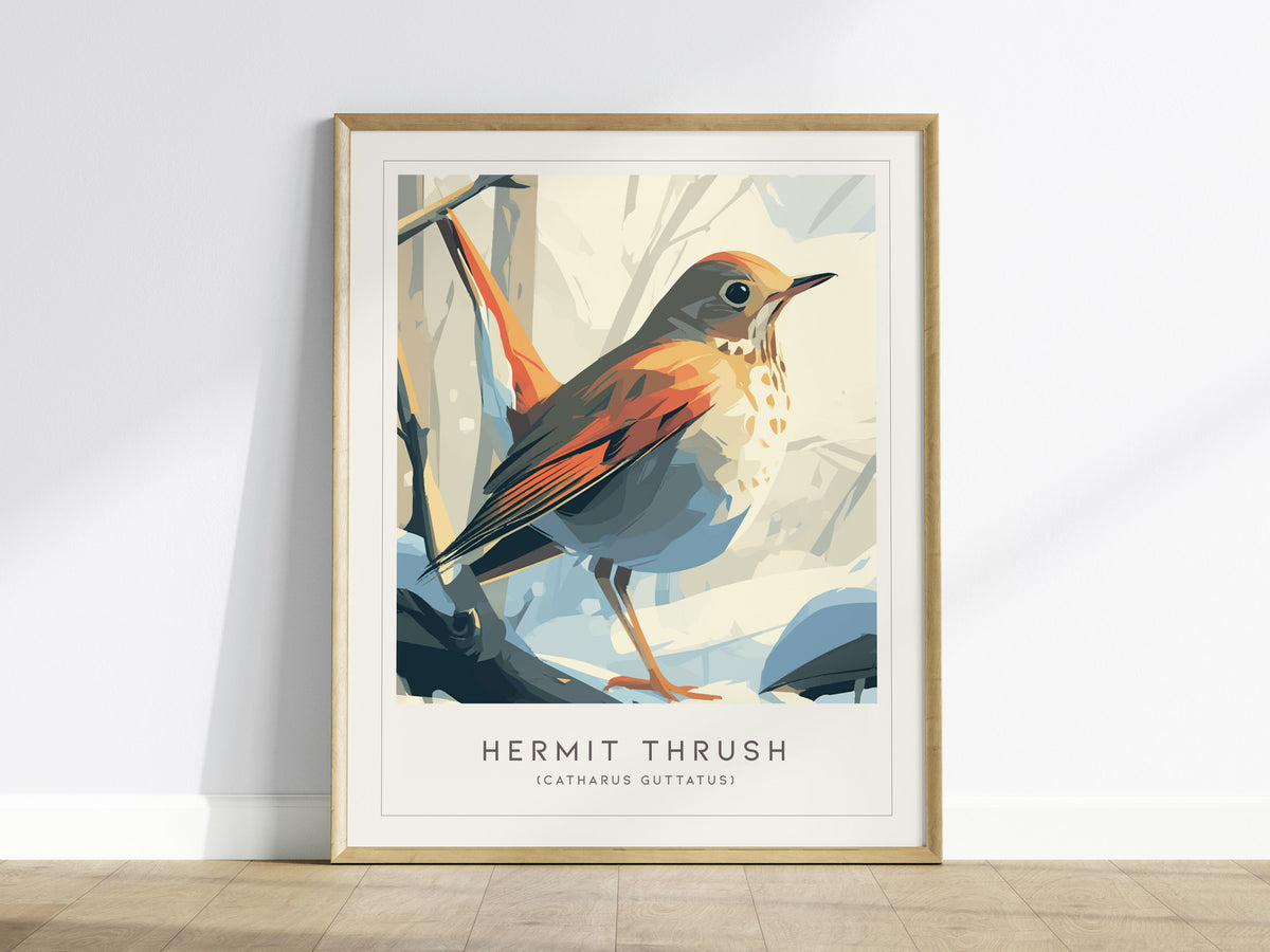 Hermit Thrush Poster | Woodland Songbird Forest Art Wall Art — framed wall art