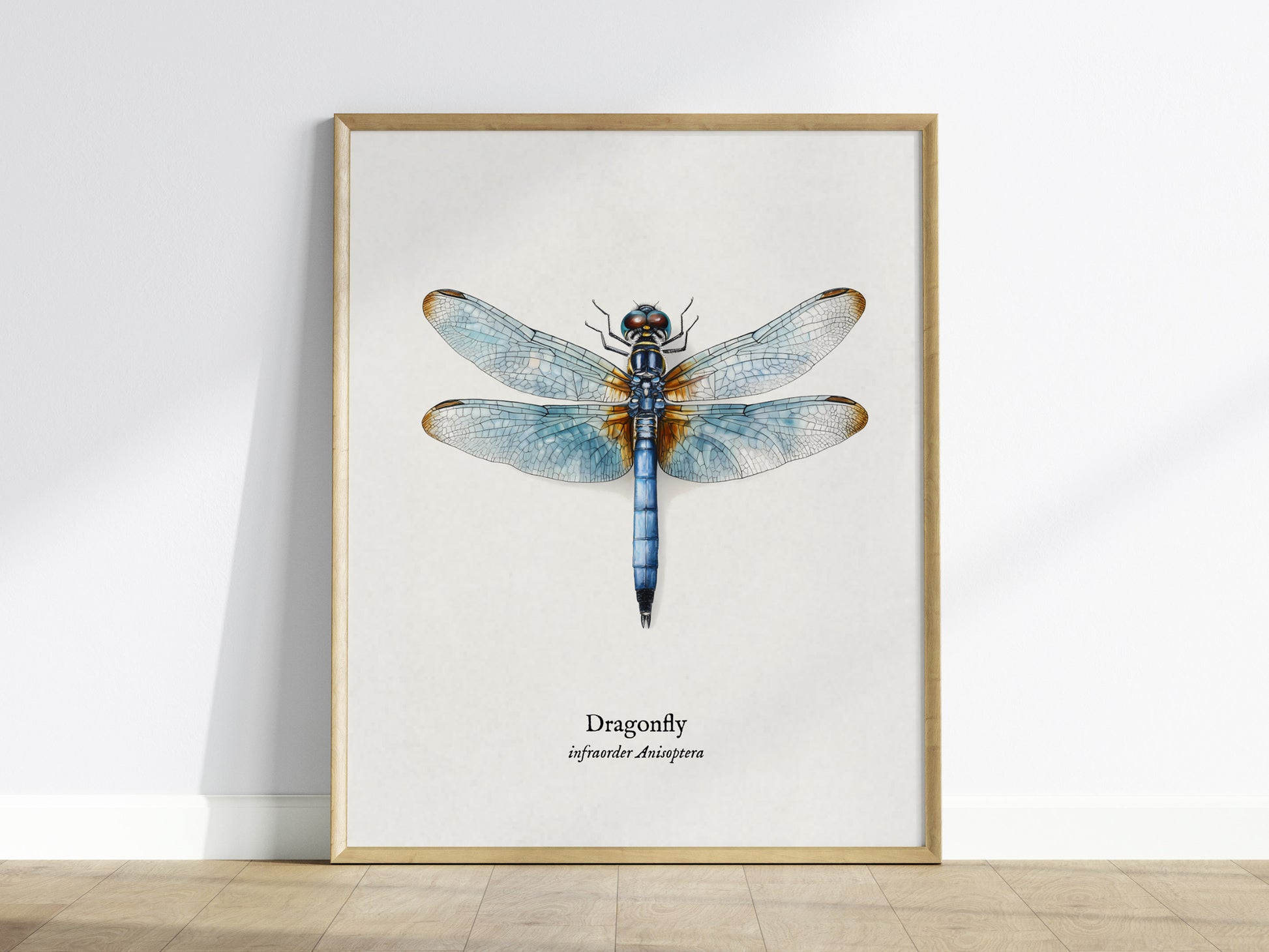Dragonfly Poster | Vintage Anisoptera Zoological Illustration Wall Art — framed wall art