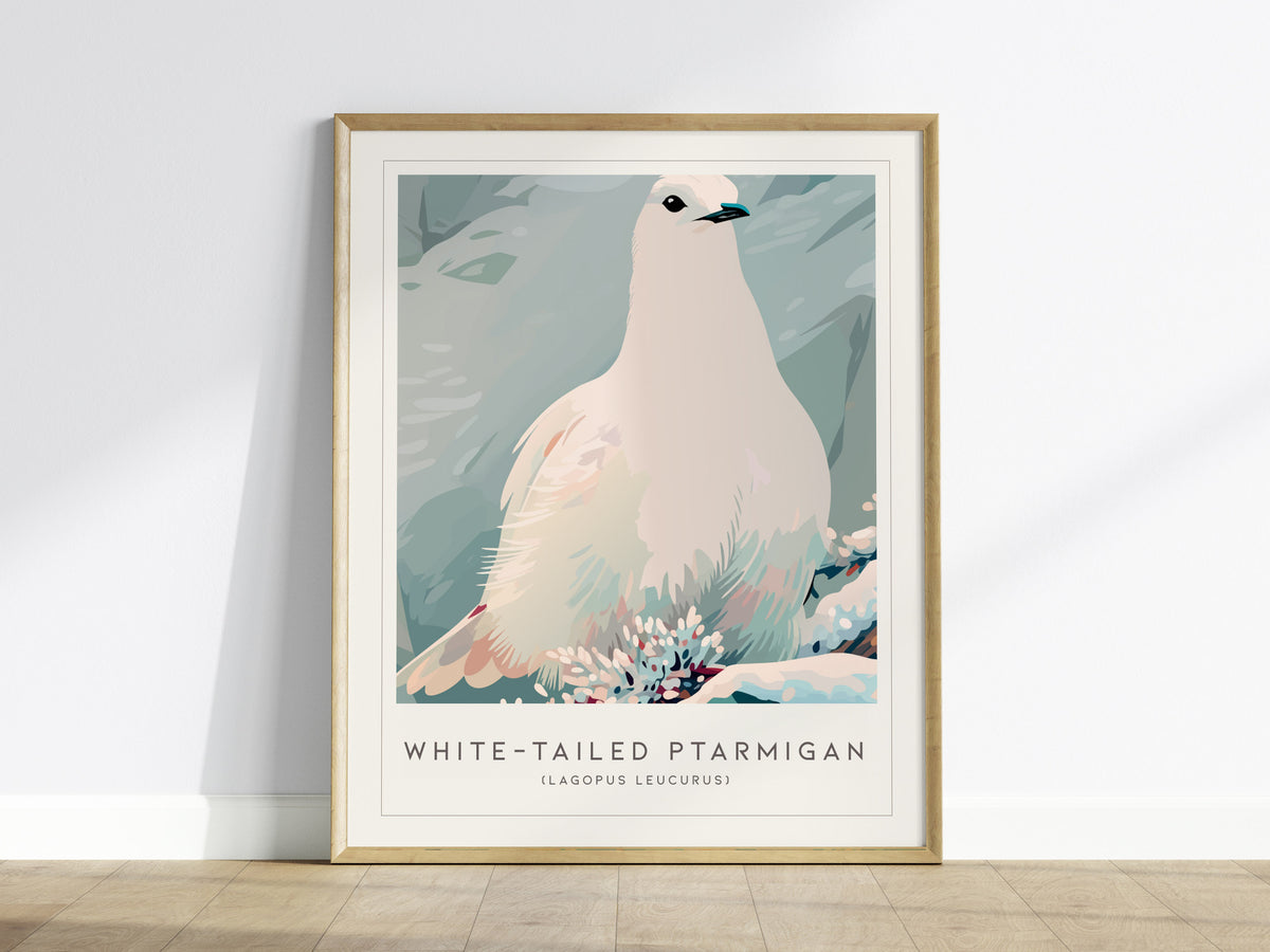White-tailed Ptarmigan, Lagopus leucurus Poster | Alpine Bird Wall Art — framed wall art