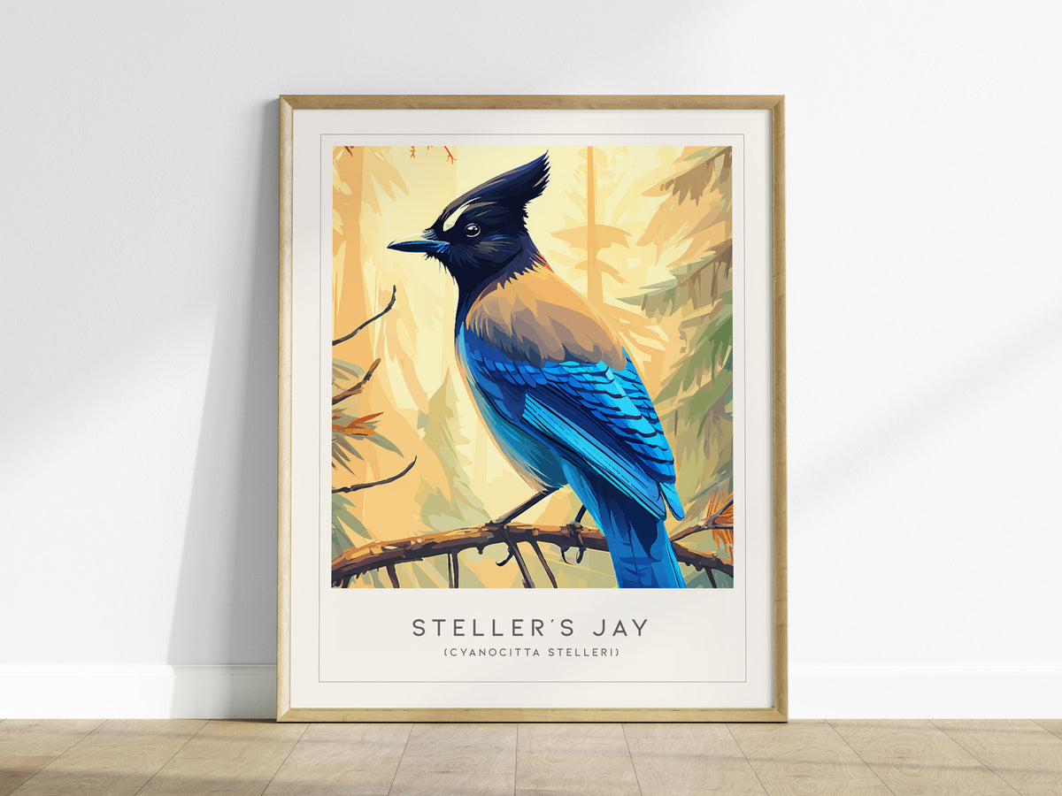 Steller's Jay, Cyanocitta stelleri Poster | Bold Mountain Bird Wall Art — framed wall art