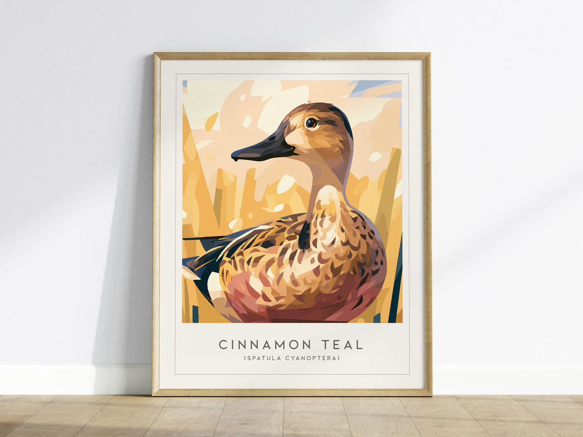 Cinnamon Teal, Spatula cyanoptera Poster | Vibrant Wetland Bird Wall Art — framed wall art