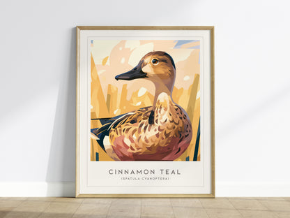Cinnamon Teal, Spatula cyanoptera Poster | Vibrant Wetland Bird Wall Art — framed wall art