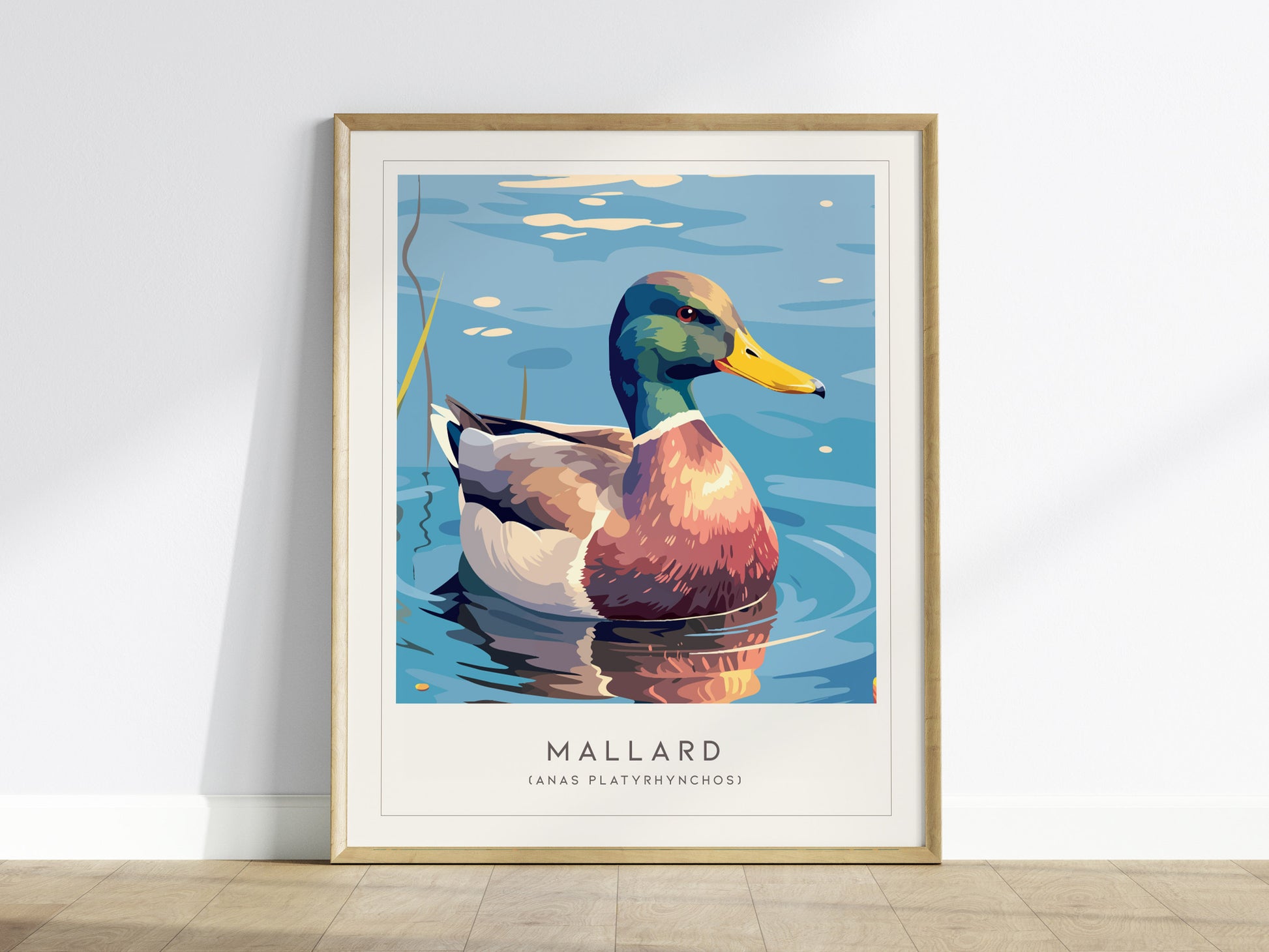 Mallard Poster | Graceful Duck on Tranquil Waters Wall Art — framed wall art