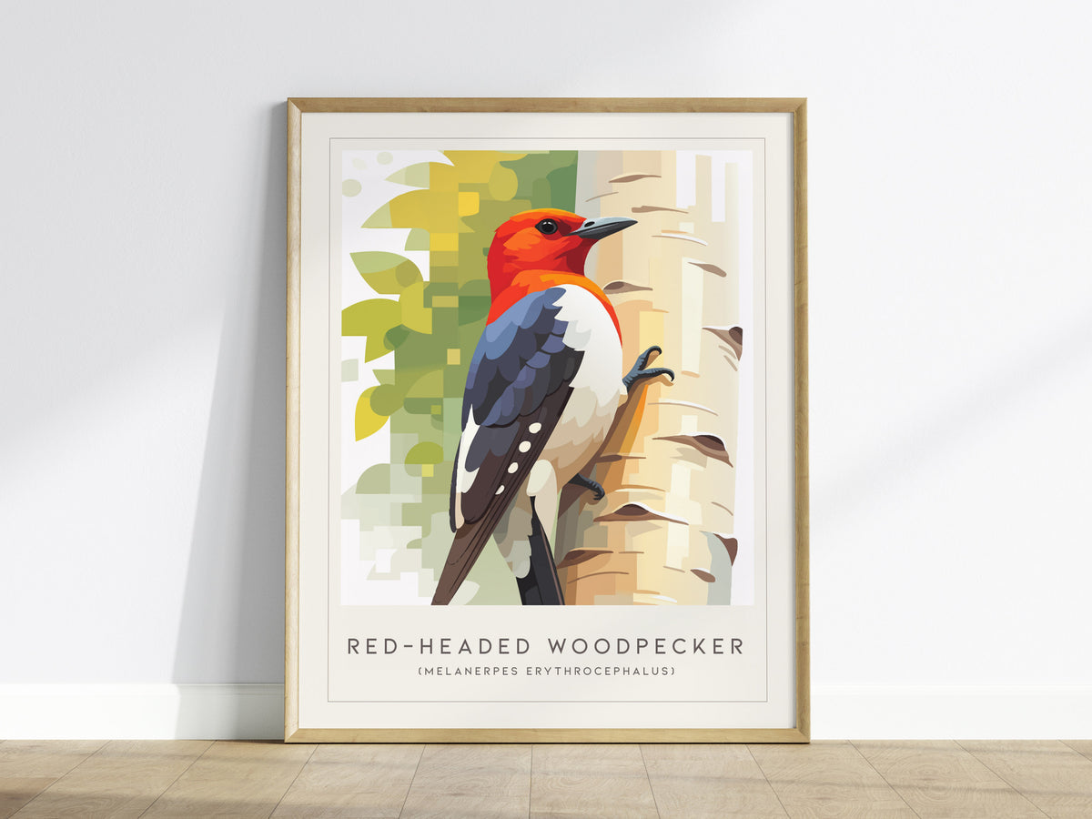 Red-headed Woodpecker, Melanerpes erythrocephalus Poster | Bold Bird Wall Art Nature Print — framed wall art