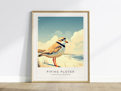 Piping Plover, Charadrius melodus Poster | Shorebird Nature Poster Wall Art — framed wall art