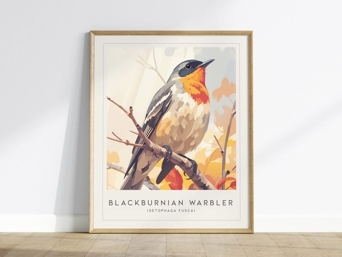 Blackburnian Warbler, Setophaga fusca Poster | Fiery Songbird Nature Print Wall Art — framed wall art