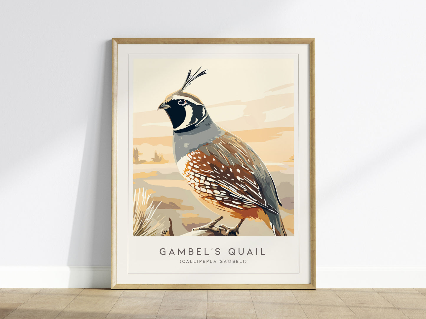 Gambel's Quail, Callipepla gambeli Poster | Desert Bird Wall Art Wildlife Print — framed wall art