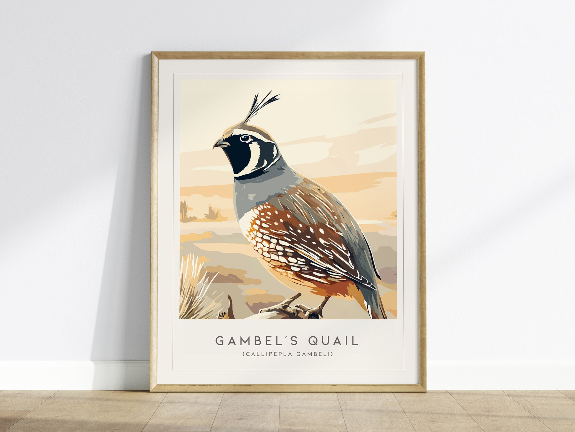 Gambel's Quail, Callipepla gambeli Poster | Desert Bird Wall Art Wildlife Print — framed wall art