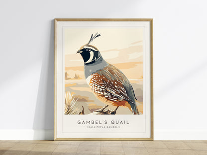 Gambel's Quail, Callipepla gambeli Poster | Desert Bird Wall Art Wildlife Print — framed wall art