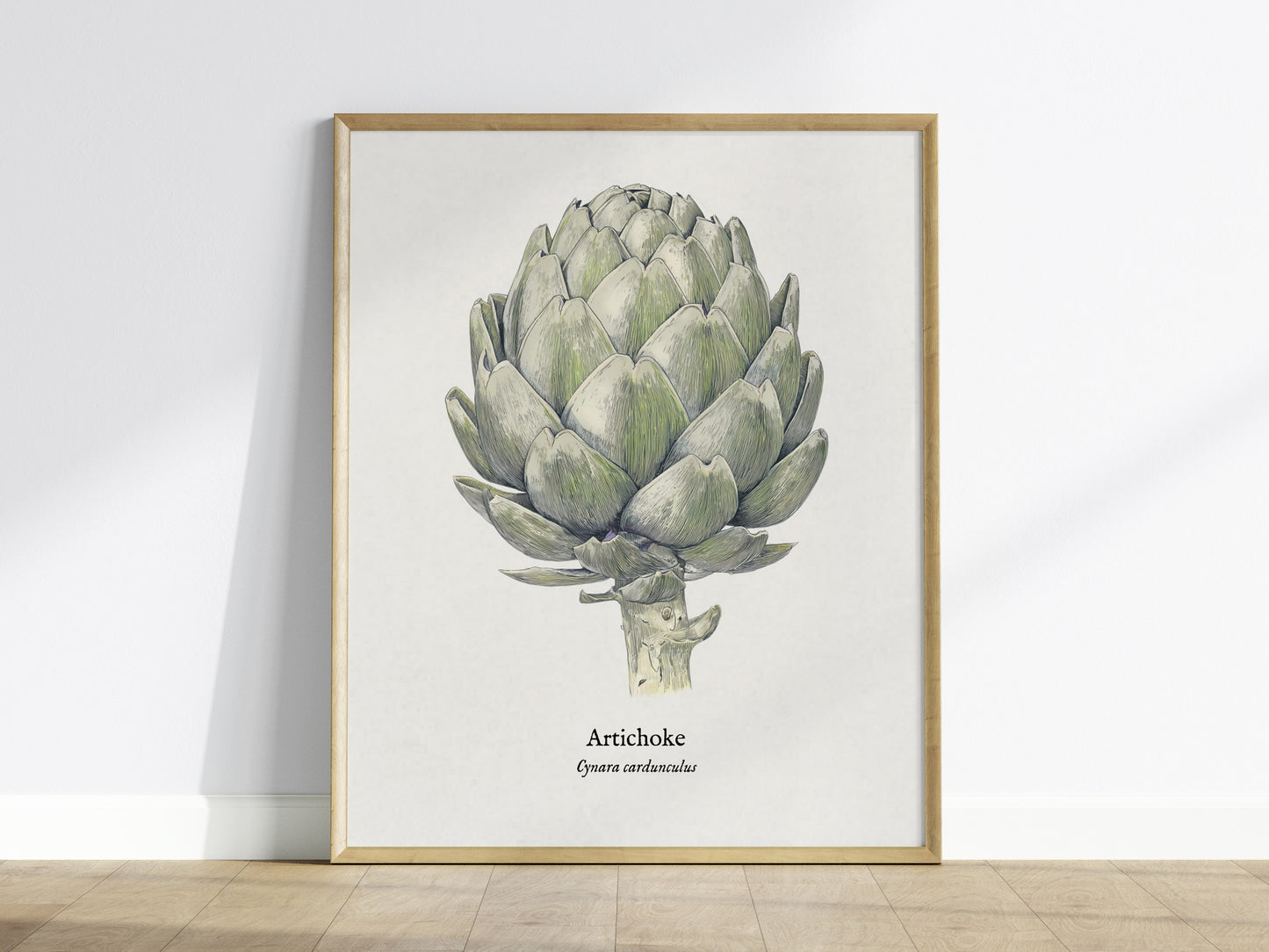 Artichoke Poster | Vintage Cynara Cardunculus Botanical Illustration Wall Art — framed wall art