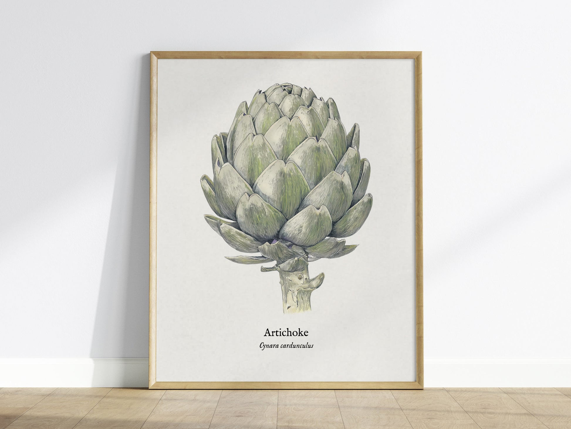 Artichoke Poster | Vintage Cynara Cardunculus Botanical Illustration Wall Art — framed wall art