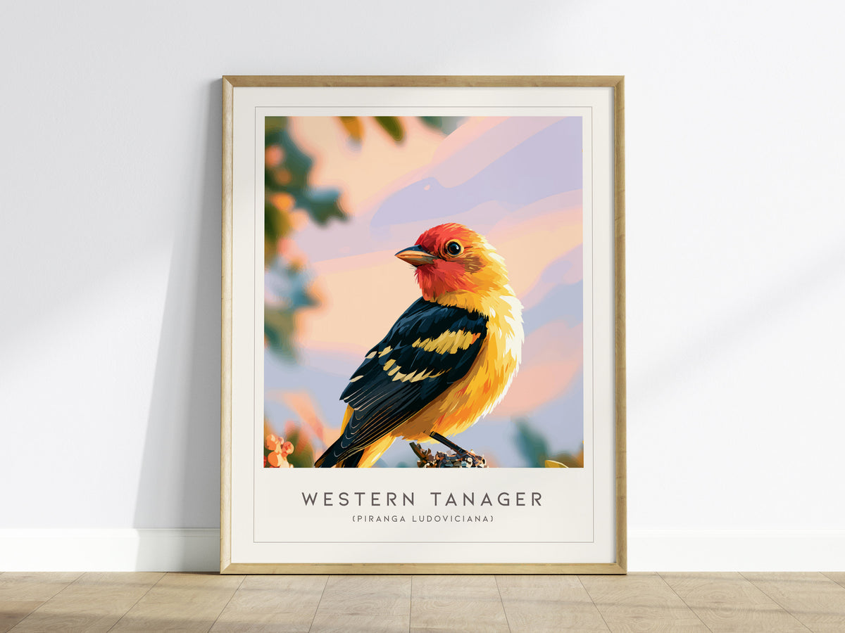 Western Tanager, Piranga ludoviciana Poster | Vibrant Songbird Nature Wall Art — framed wall art