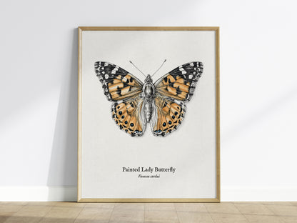 Painted Lady Butterfly Poster | Vintage Vanessa cardui Zoological Illustration Wall Art — framed wall art