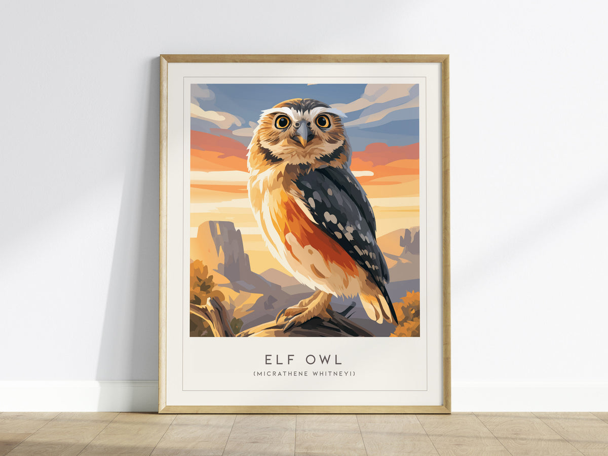 Elf Owl Poster | Desert Night Tiny Owl Wall Art — framed wall art