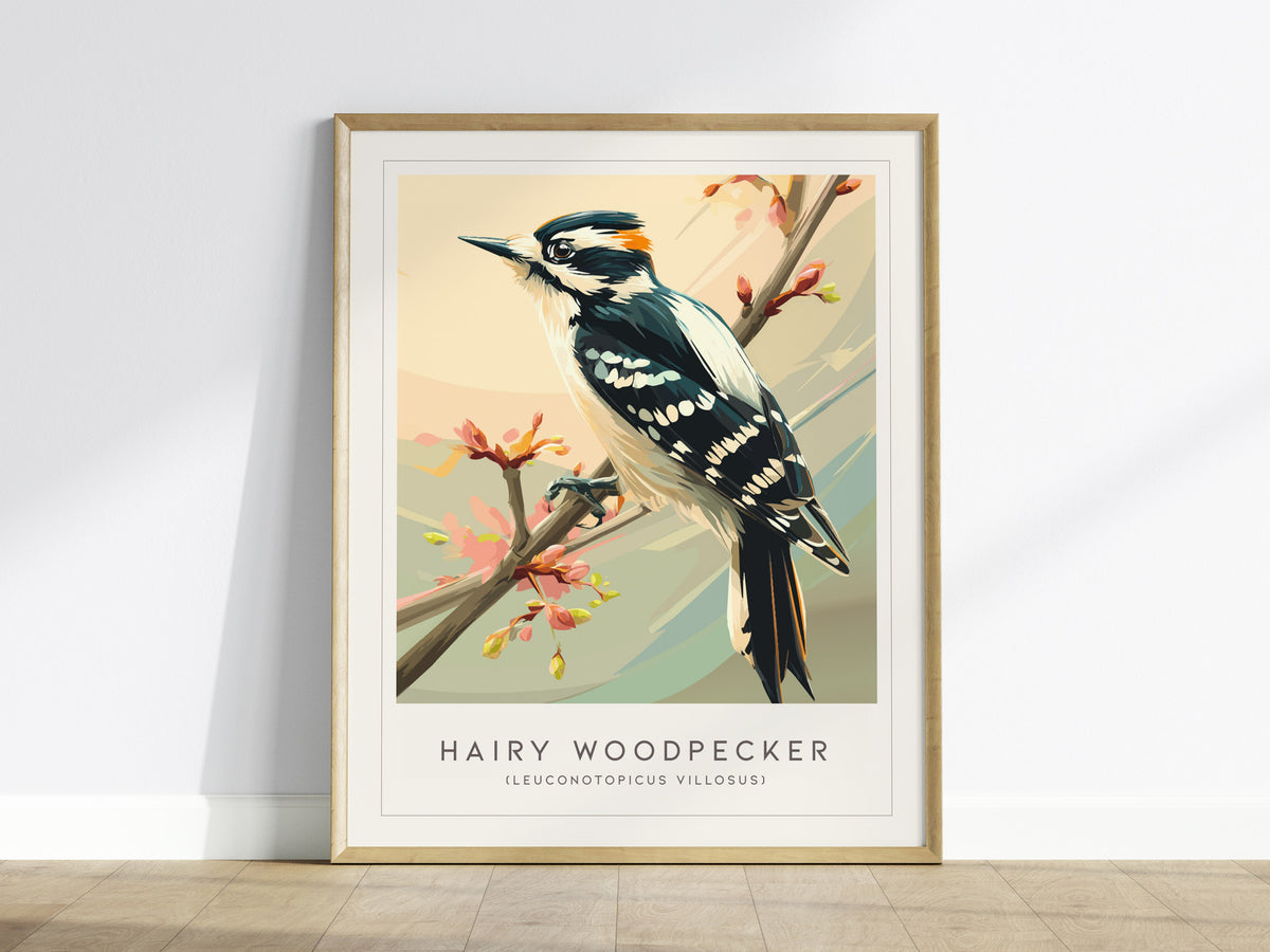 Hairy Woodpecker Poster | Bold Forest Bird Illustration Wall Art — framed wall art