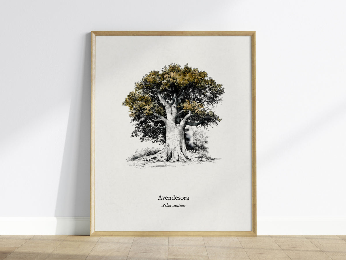 Avendesora Poster | Arbor Cantans Pen and Ink Print | Vintage Botanical Illustration Wall Art — framed wall art