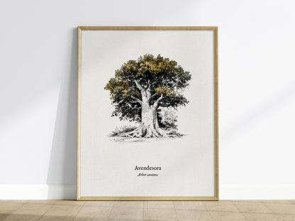 Avendesora Poster | Arbor Cantans Pen and Ink Print | Vintage Botanical Illustration Wall Art — framed wall art