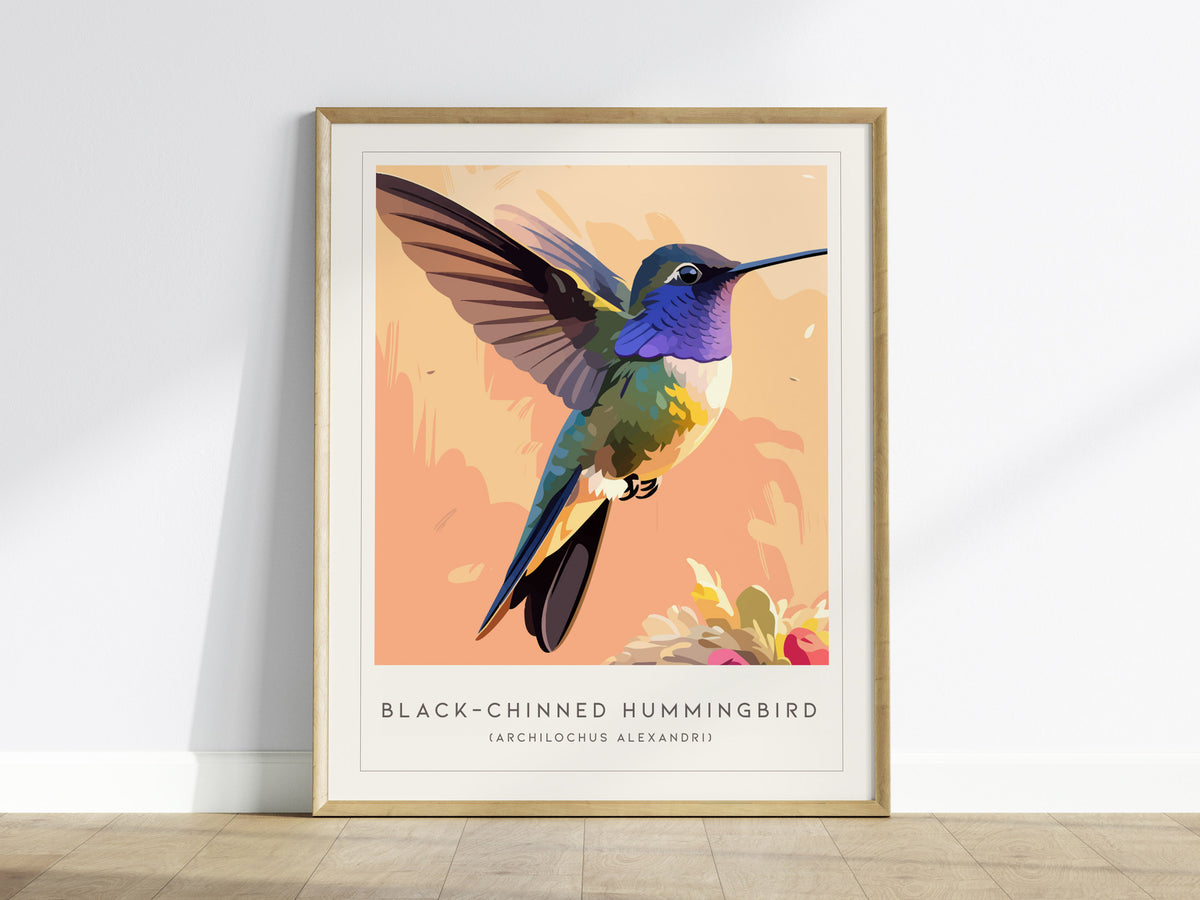 Black-chinned Hummingbird, Archilochus alexandri Poster | Jeweled Bird Wildlife Print Wall Art — framed wall art