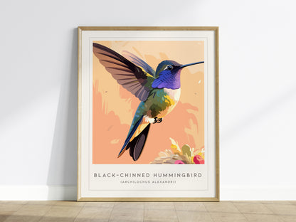 Black-chinned Hummingbird, Archilochus alexandri Poster | Jeweled Bird Wildlife Print Wall Art — framed wall art