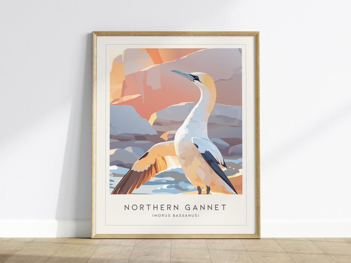 Northern Gannet, Morus bassanus Poster | Striking Seabird Wildlife Print Wall Art — framed wall art