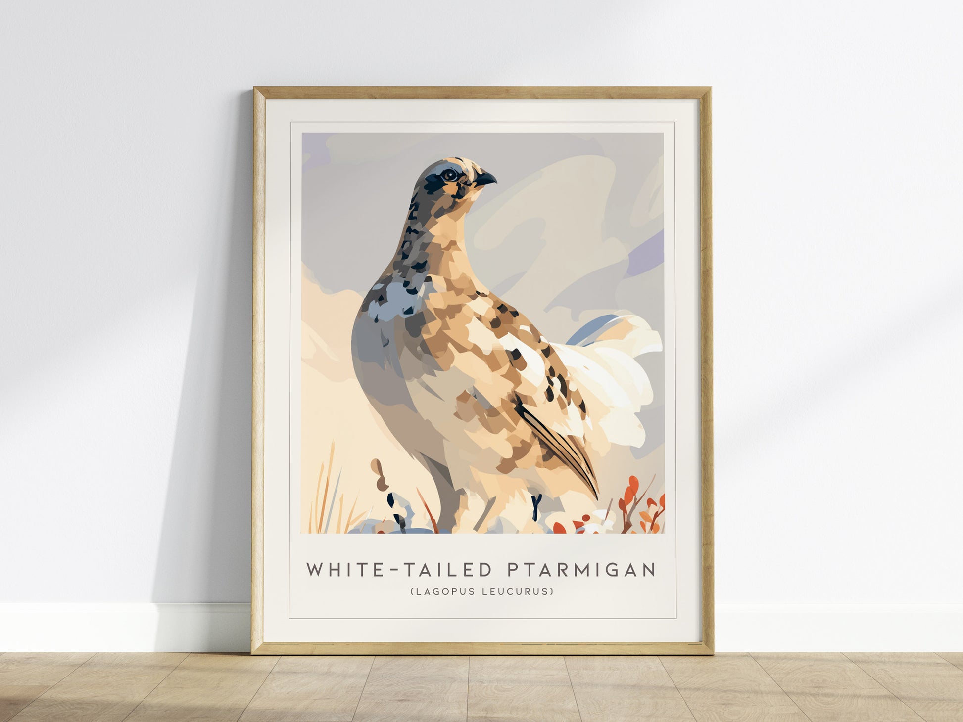 White-tailed Ptarmigan, Lagopus leucurus Poster | Alpine Bird Wall Art — framed wall art