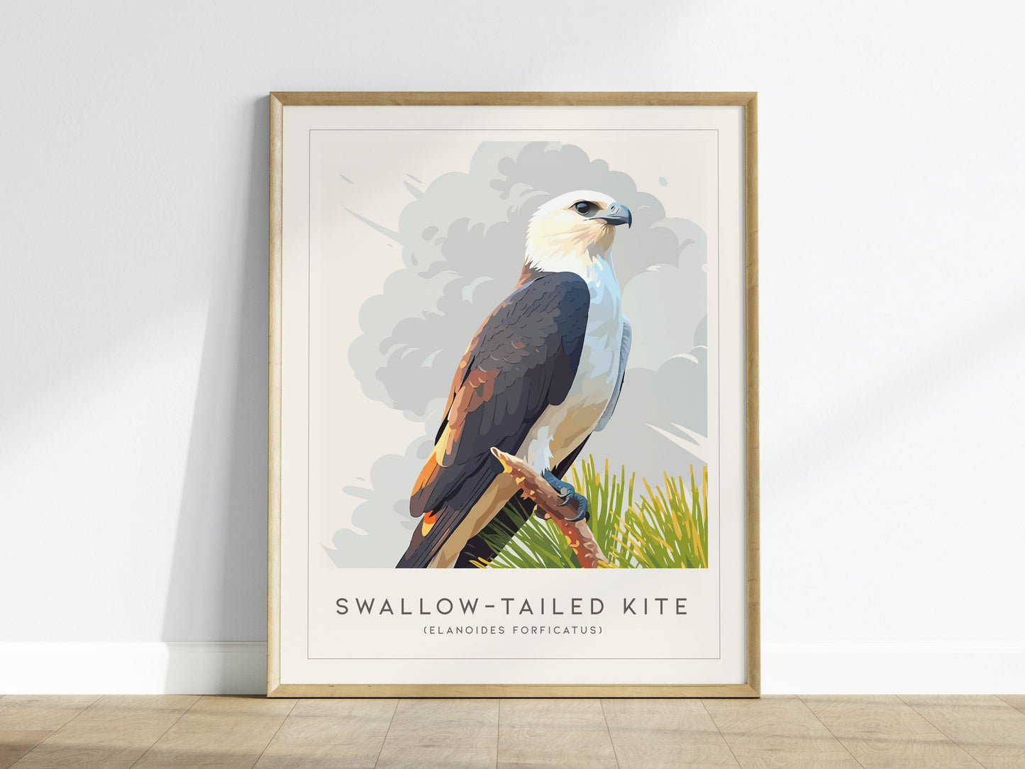 Swallow-tailed Kite Poster | Graceful Raptor in Flight Wall Art — framed wall art