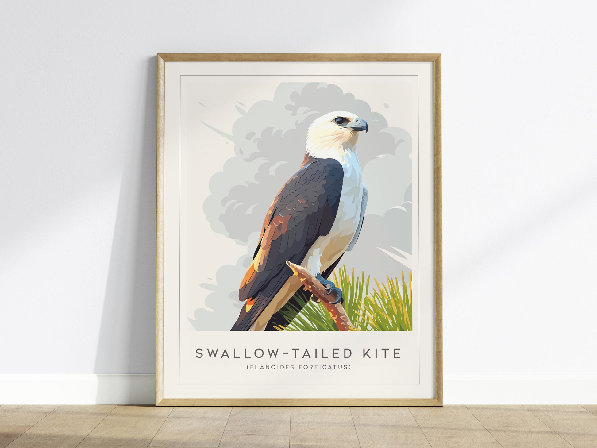 Swallow-tailed Kite Poster | Graceful Raptor in Flight Wall Art — framed wall art