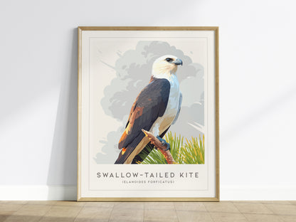 Swallow-tailed Kite Poster | Graceful Raptor in Flight Wall Art — framed wall art