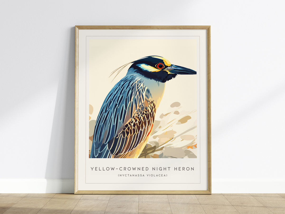 Yellow-crowned Night Heron, Nyctanassa violacea Poster | Elegant Wading Bird Wall Art — framed wall art