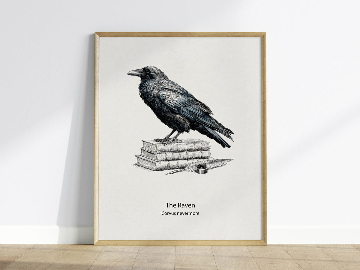 The Raven Poster | Corvus Nevermore Pen and Ink Print Zoological Illustration Wall Art — framed wall art