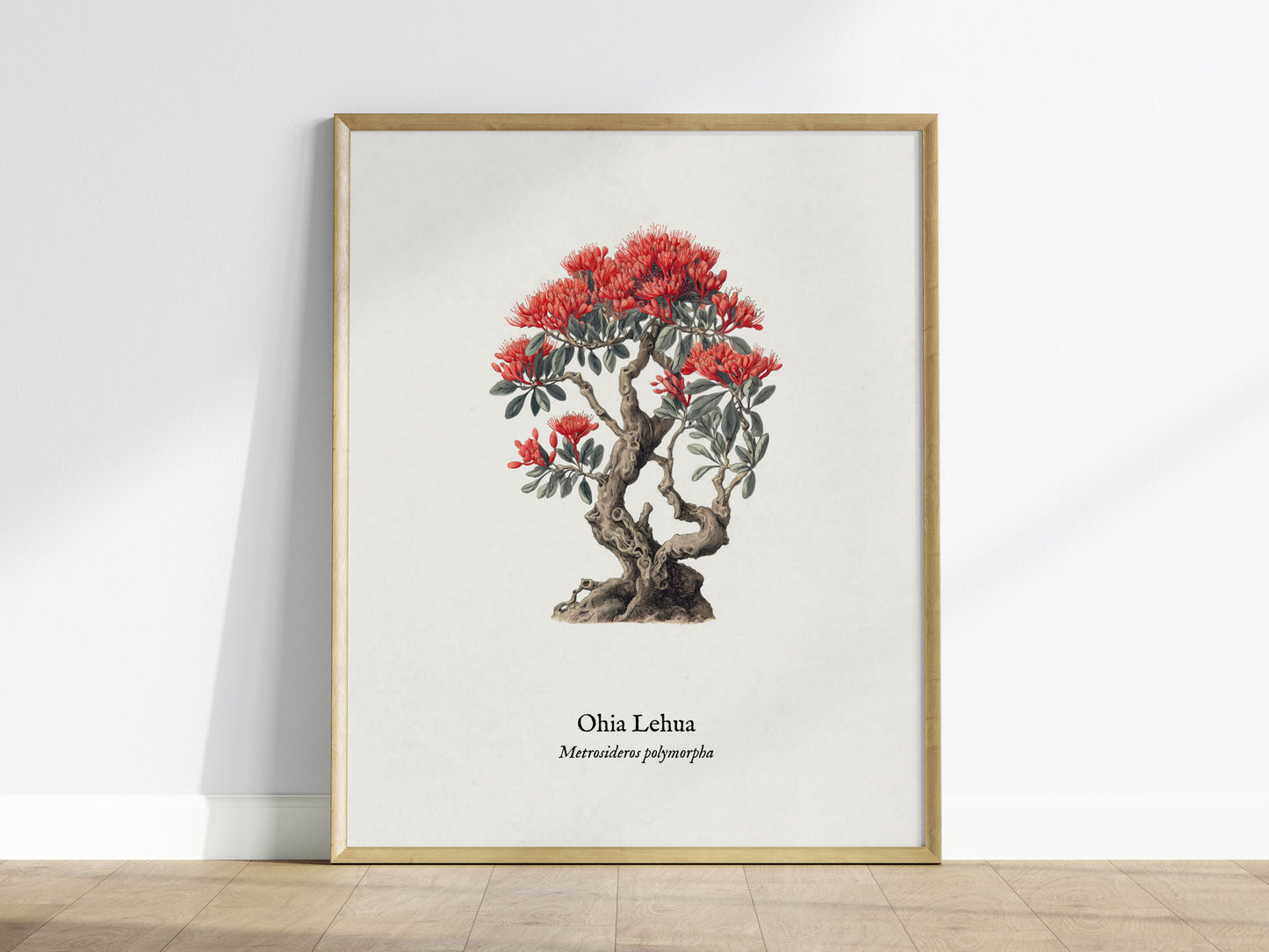 Ohia Lehua Poster | Vintage Metrosideros polymorpha Botanical Illustration Wall Art — framed wall art