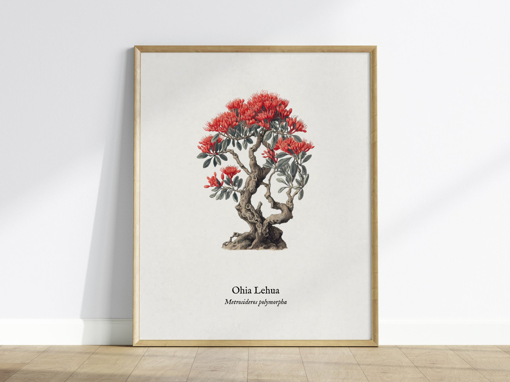 Ohia Lehua Poster | Vintage Metrosideros polymorpha Botanical Illustration Wall Art — framed wall art