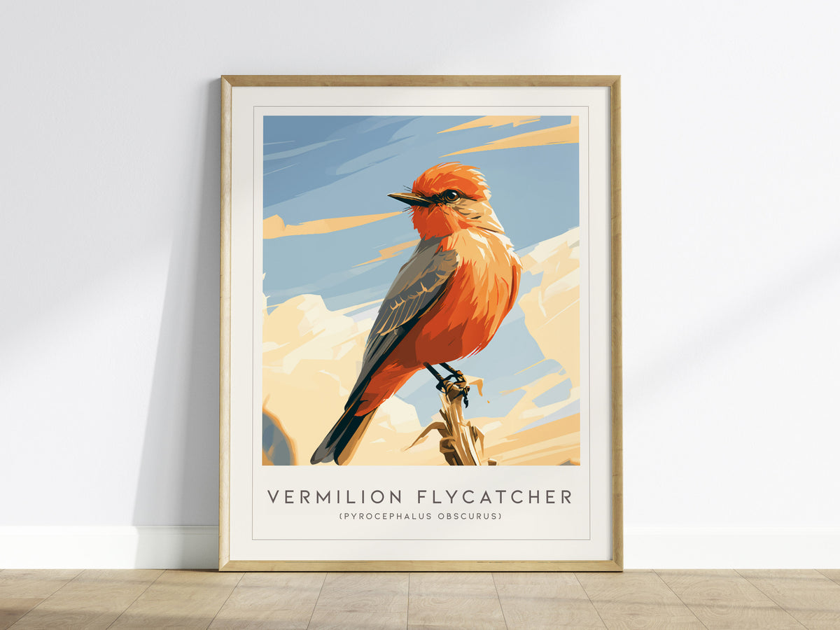 Vermilion Flycatcher, Pyrocephalus obscurus Poster | Brilliant Songbird Nature Poster Wall Art — framed wall art