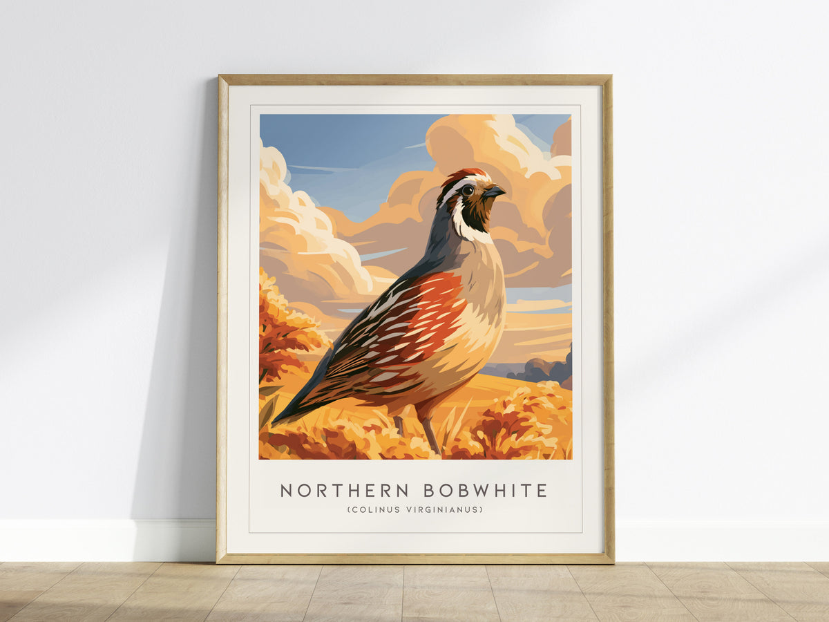 Northern Bobwhite, Colinus virginianus Poster | Quail Bird Wall Art Wildlife Print — framed wall art