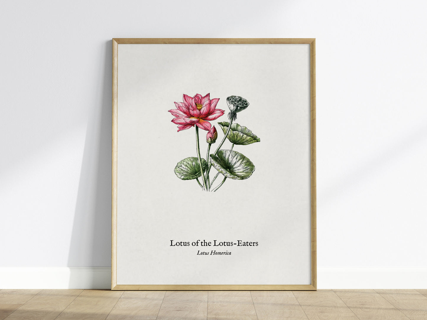 Lotus of the Lotus-Eaters Poster | Vintage Lotus Homerica Scientific Illustration Wall Art — framed wall art