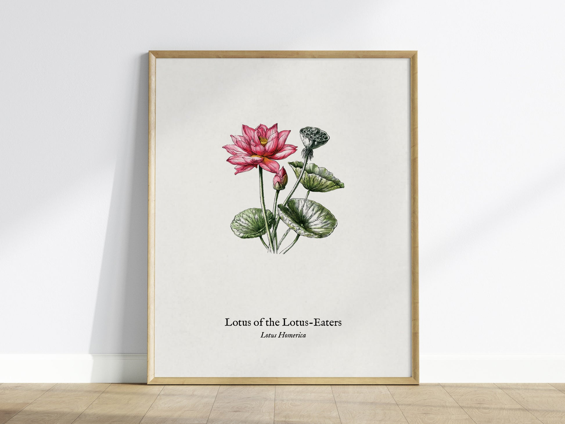 Lotus of the Lotus-Eaters Poster | Vintage Lotus Homerica Scientific Illustration Wall Art — framed wall art