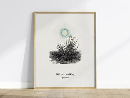 Will-o'-the-Wisp Poster | Ignis Fatuus Pen and Ink Print | Vintage Scientific Illustration Wall Art — framed wall art