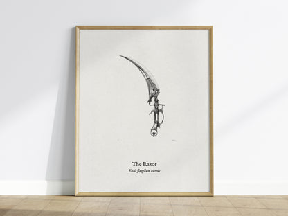 The Razor Poster | Ensis Flagellum Aureus Pen and Ink Print | Vintage Zoological Illustration Wall Art — framed wall art